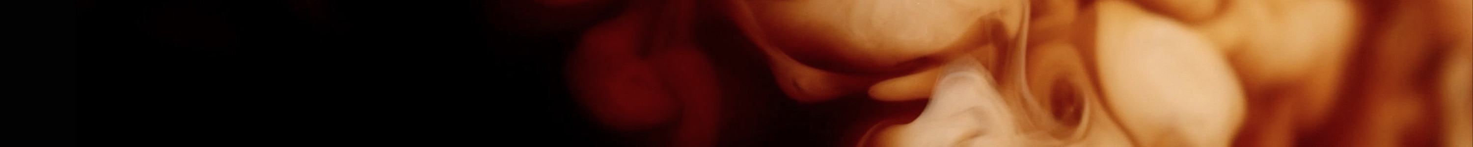 Café con Leche banner