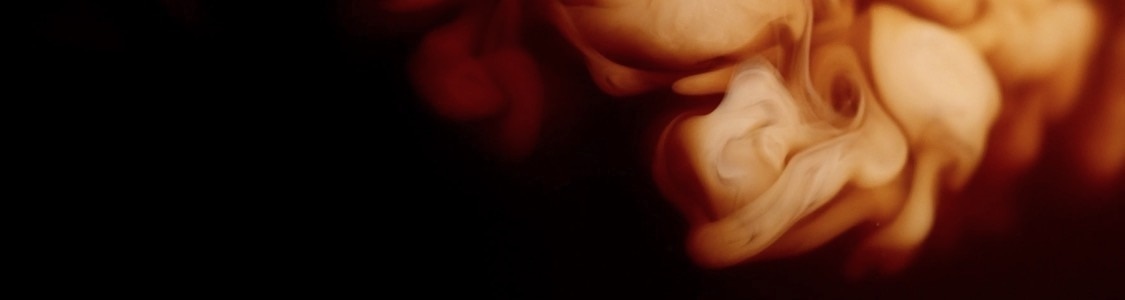 Café con Leche banner
