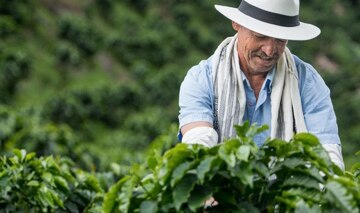farmer farmer