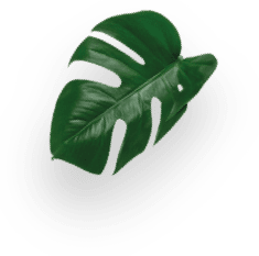 AMÉRICANO PACK X 3 - 30 CÁPSULAS decoration Image